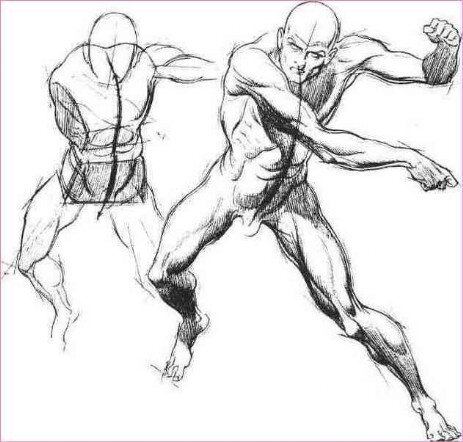 corso disegno della figura umana terni corso disegno della figura umana terni